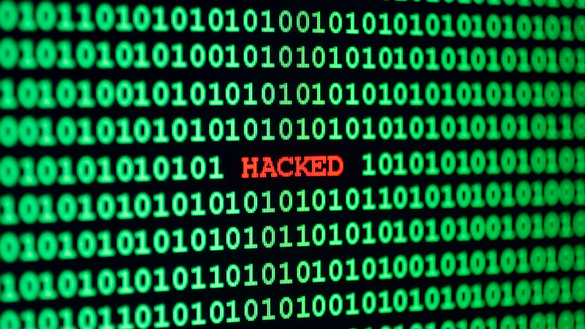 Cybersecurity Workers Increasingly Needed, Private Sector and Government Must Invest