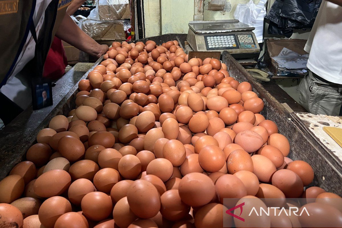 PIHPS: Chicken Egg Prices Rp32,000 per kg, Shallots Rp45,950 per kg