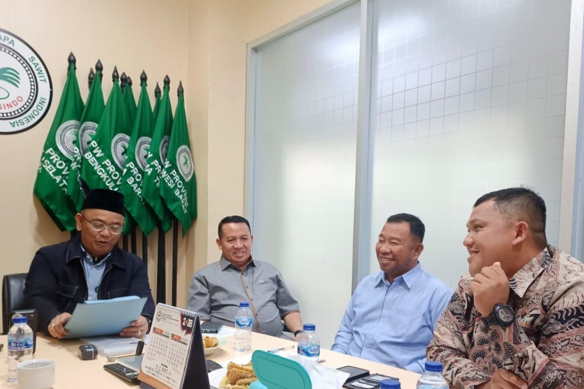 Apkasindo hopes government will support palm oil mills without plantations