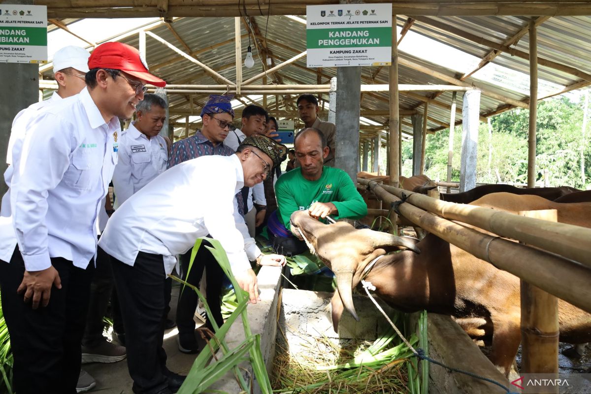 Baznas RI Strengthens Contribution to Food Security through Livestock Centre
