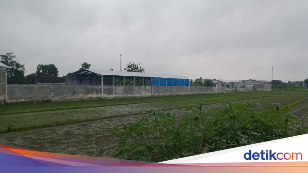 This is the Warehouse for Storing Smuggled Cars and Motorcycles Raided by Central Java Police