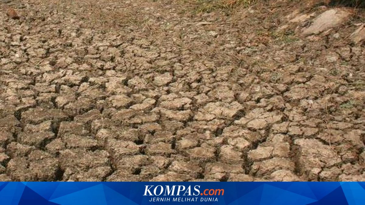 DKI BPBD States Cipedak Area in South Jakarta is Prone to Drought