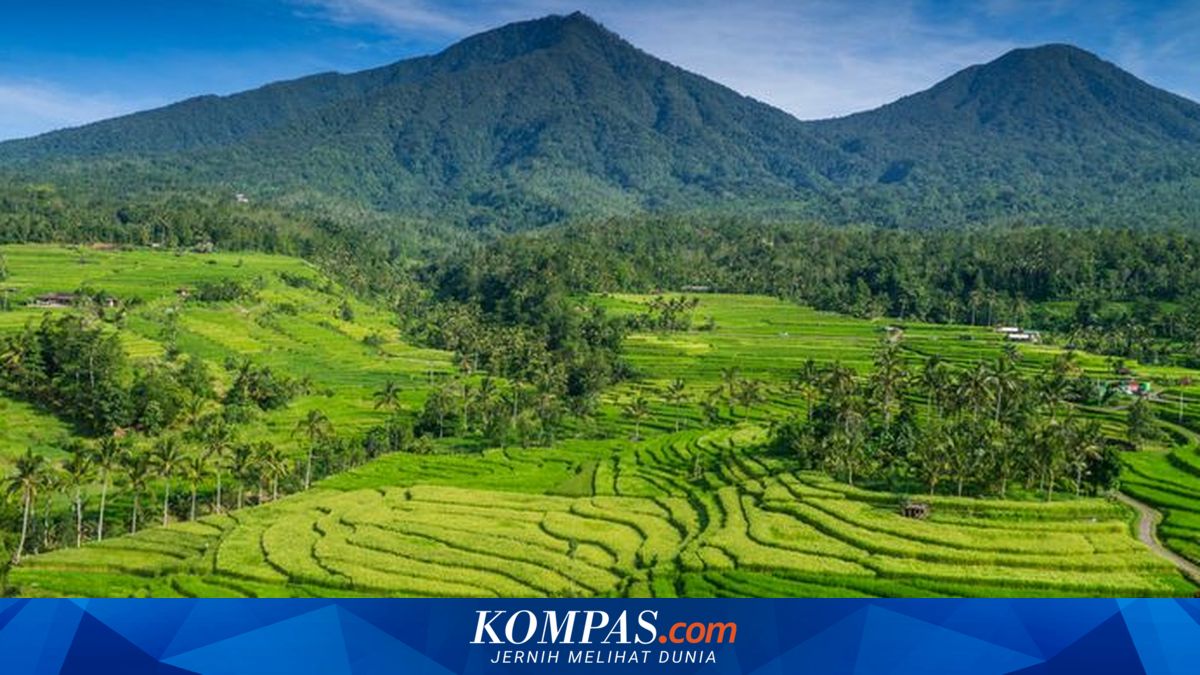 No More Converting Rice Fields in Bali into Villas