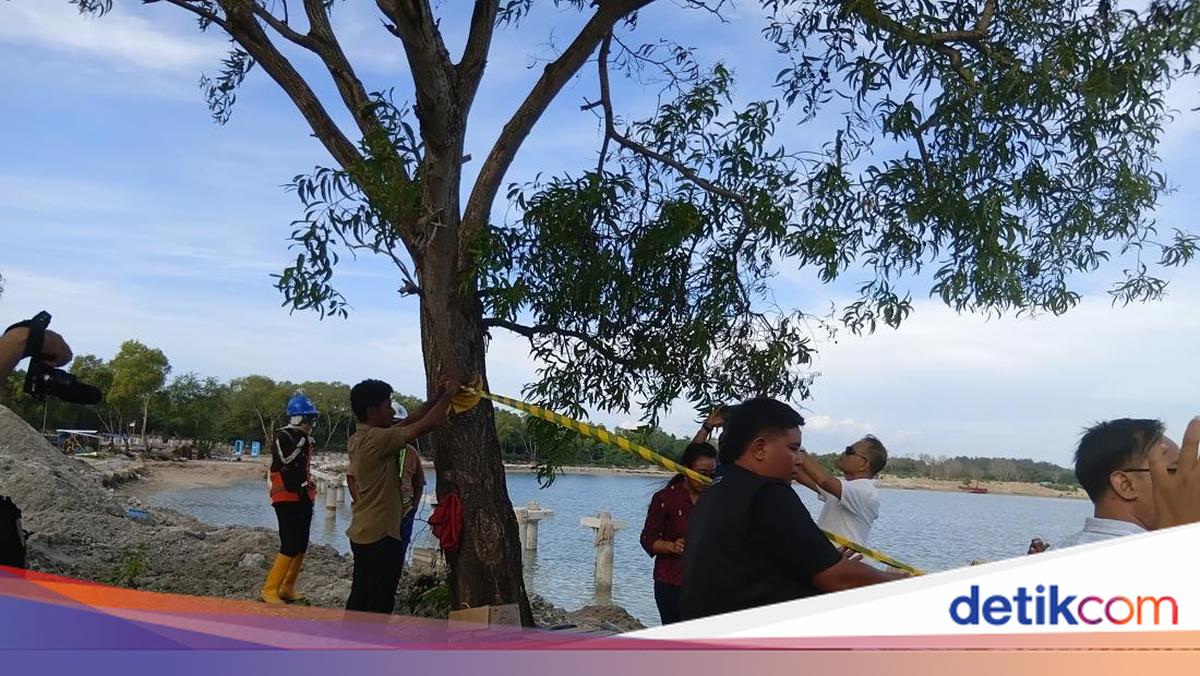 Sealing of Bali's Kura Kura SEZ Deemed to Breach Procedures, Threatens Investment Climate