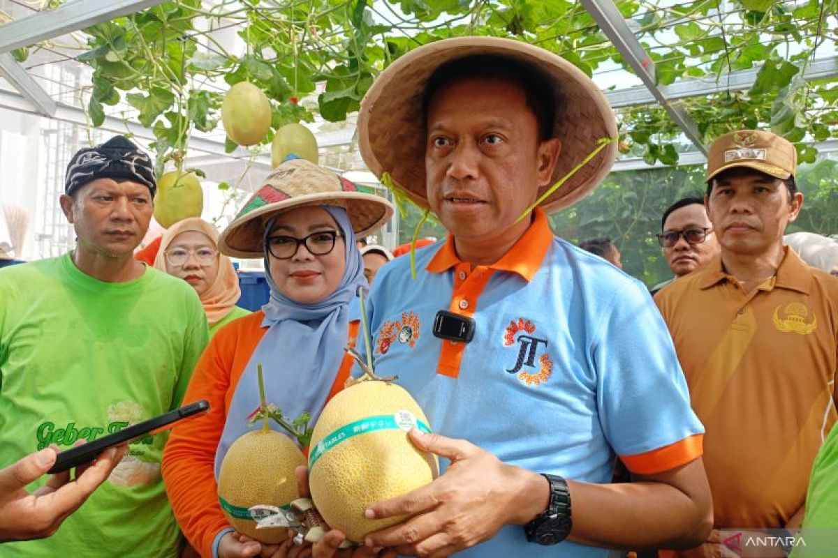 East Jakarta City Government Harvests 90 kg of Inthanon Melons to Boost Food Security