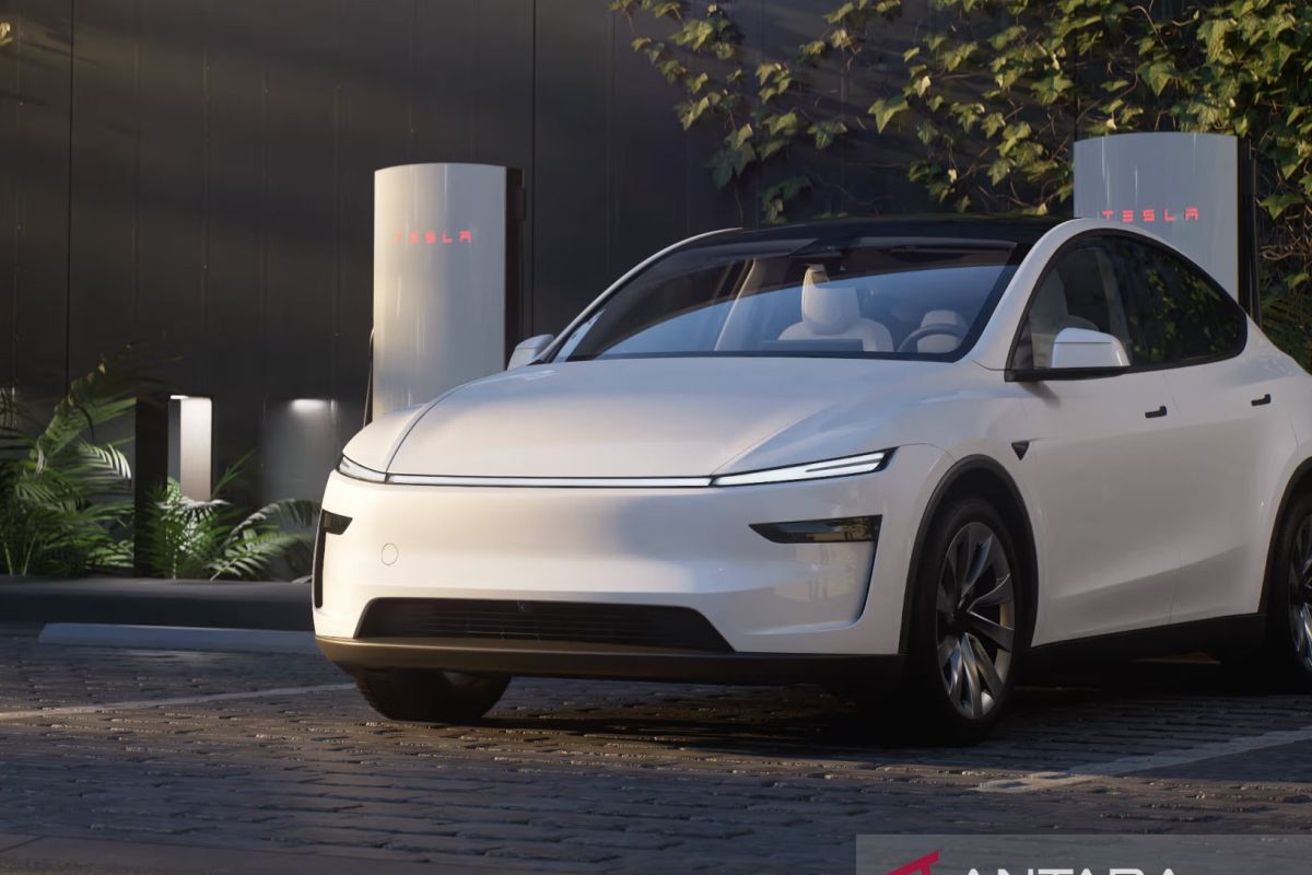 Tesla's Profit Rises 17 Percent, Focus on AI and Robotaxi Expansion