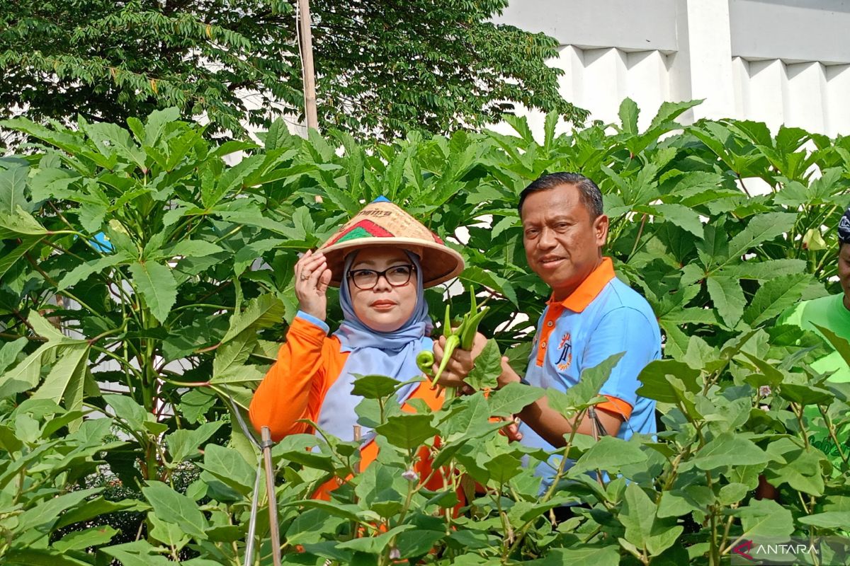 High Demand Prompts Jakarta East City Government to Strengthen Inthanon Melon Cultivation
