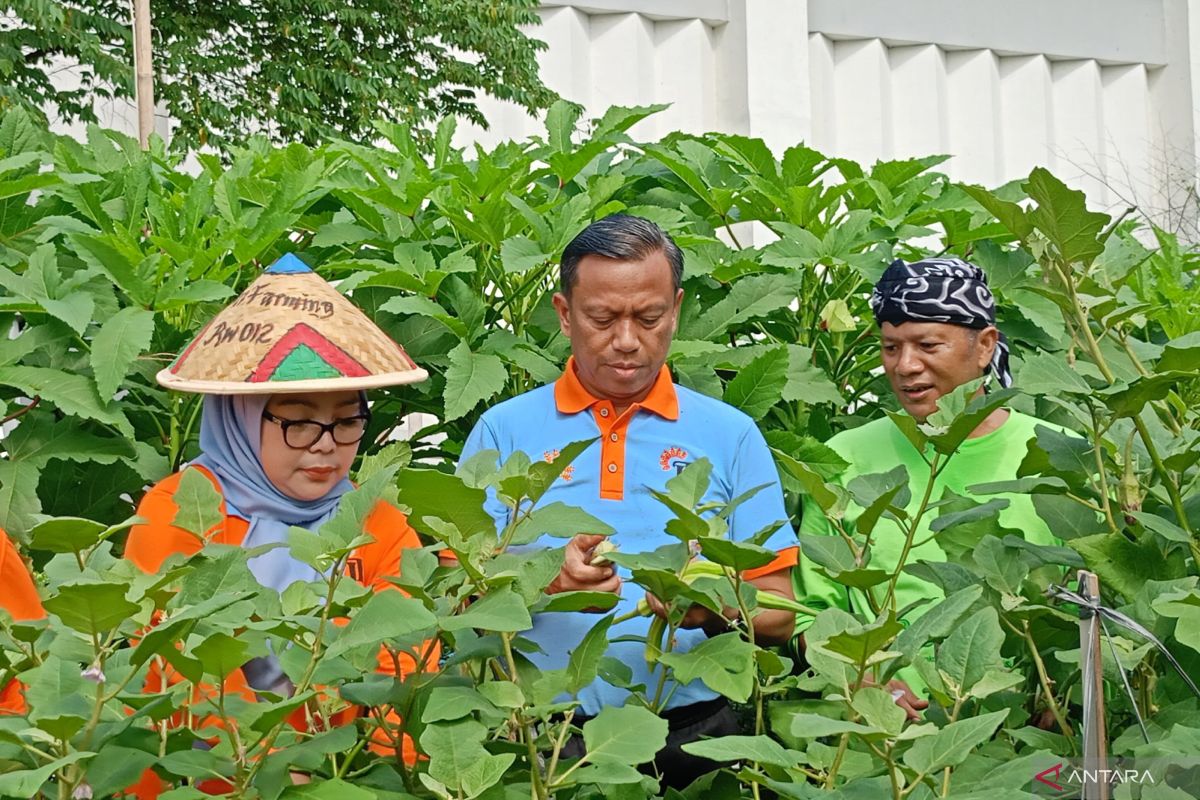East Jakarta City Government Urges Farmers to Adjust Cropping Patterns to Face Prolonged Dry Season