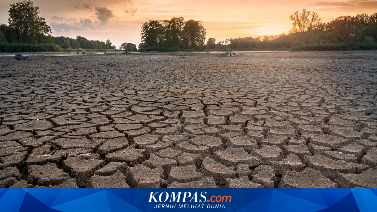 Cipedak Area in South Jakarta Prone to Drought, Will the 2023 Extreme Drought Recur?