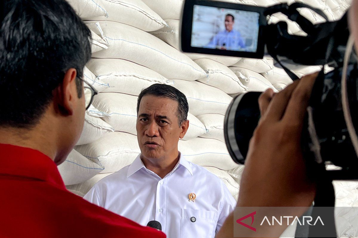 Bapanas Head: SPHP Rice Prices Unchanged, Maximum Purchase of 5 Packs