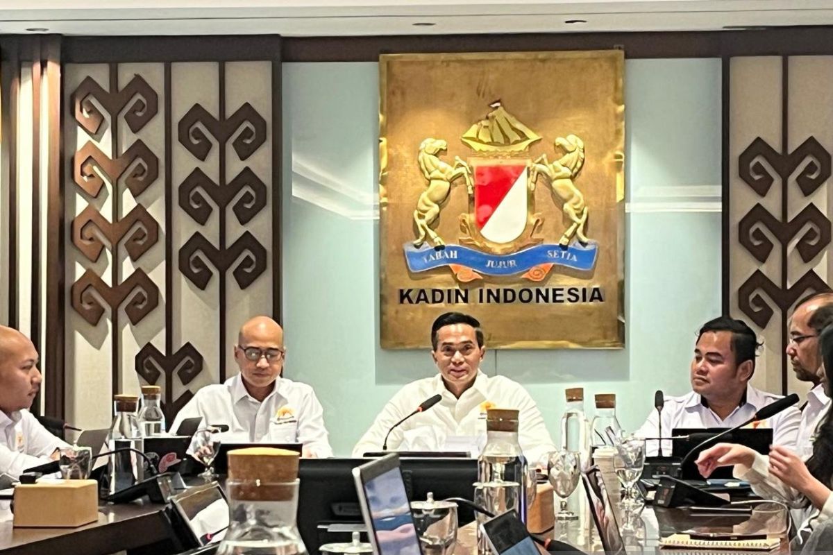 Kadin: Indonesia Always Survives Crises and Emerges Stronger