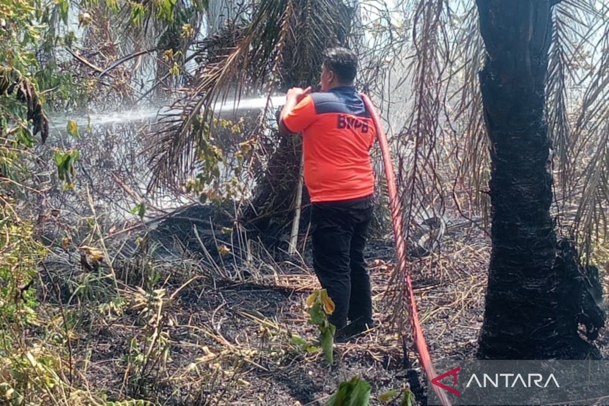 BNPB: Three fire trucks deployed to extinguish peatland fire in Aceh