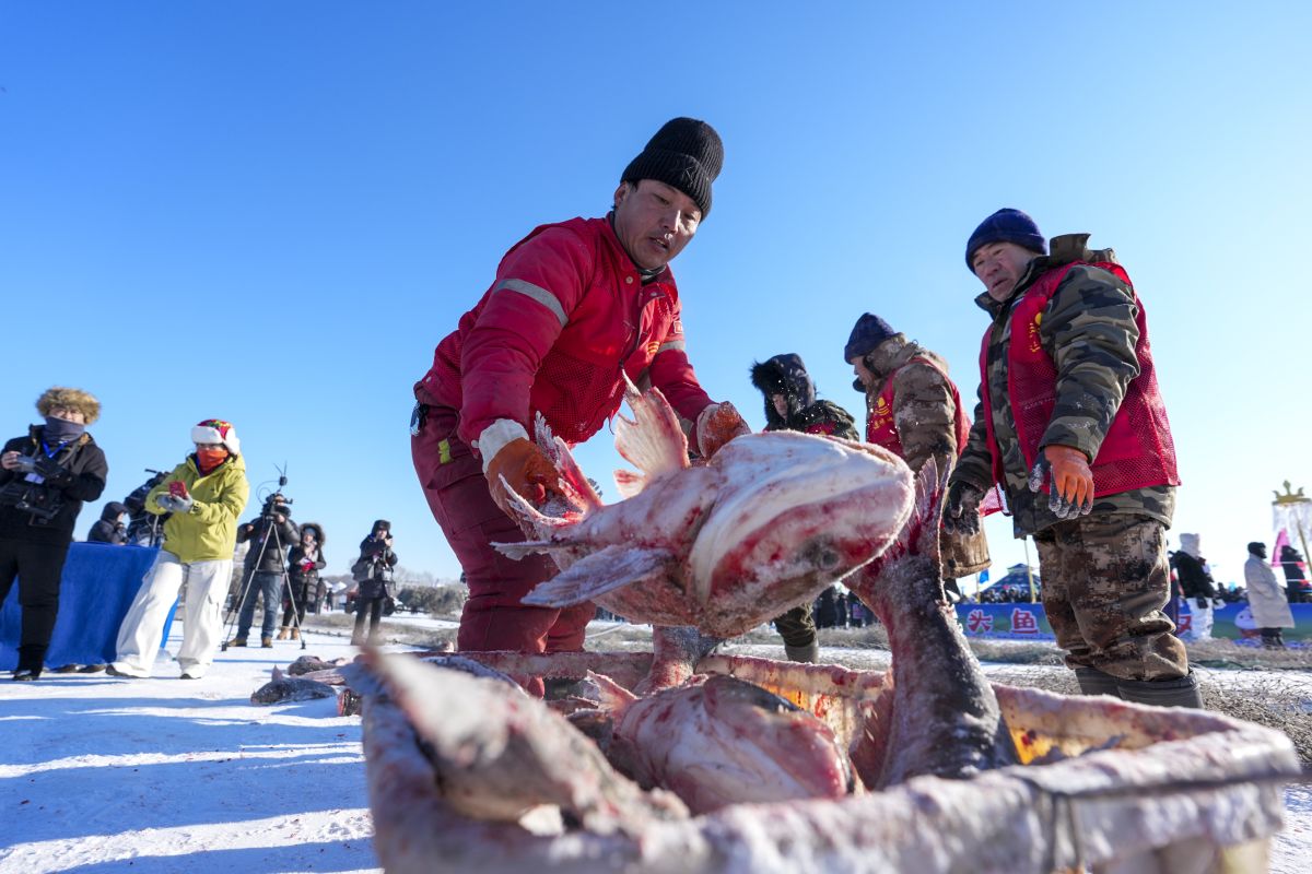 Scientists: Fish growth declining due to overfishing
