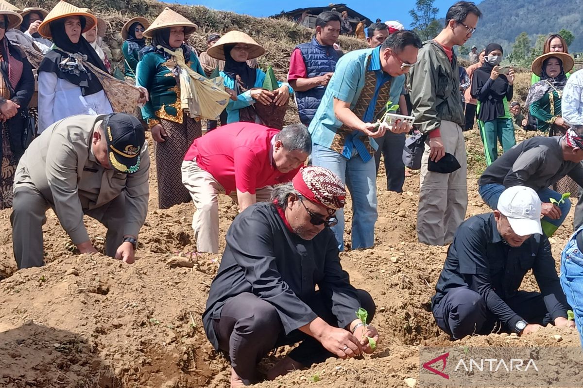 Temanggung Holds Tobacco Planting Initiation Tradition