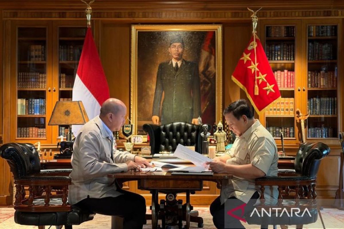 President and Rosan discuss development of downstreaming programme at 13 locations