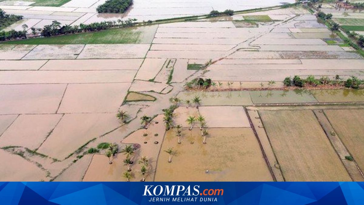 Task Force Accelerates Paddy Field Rehabilitation, Ensures Rice Supply and Food Security in Affected Areas