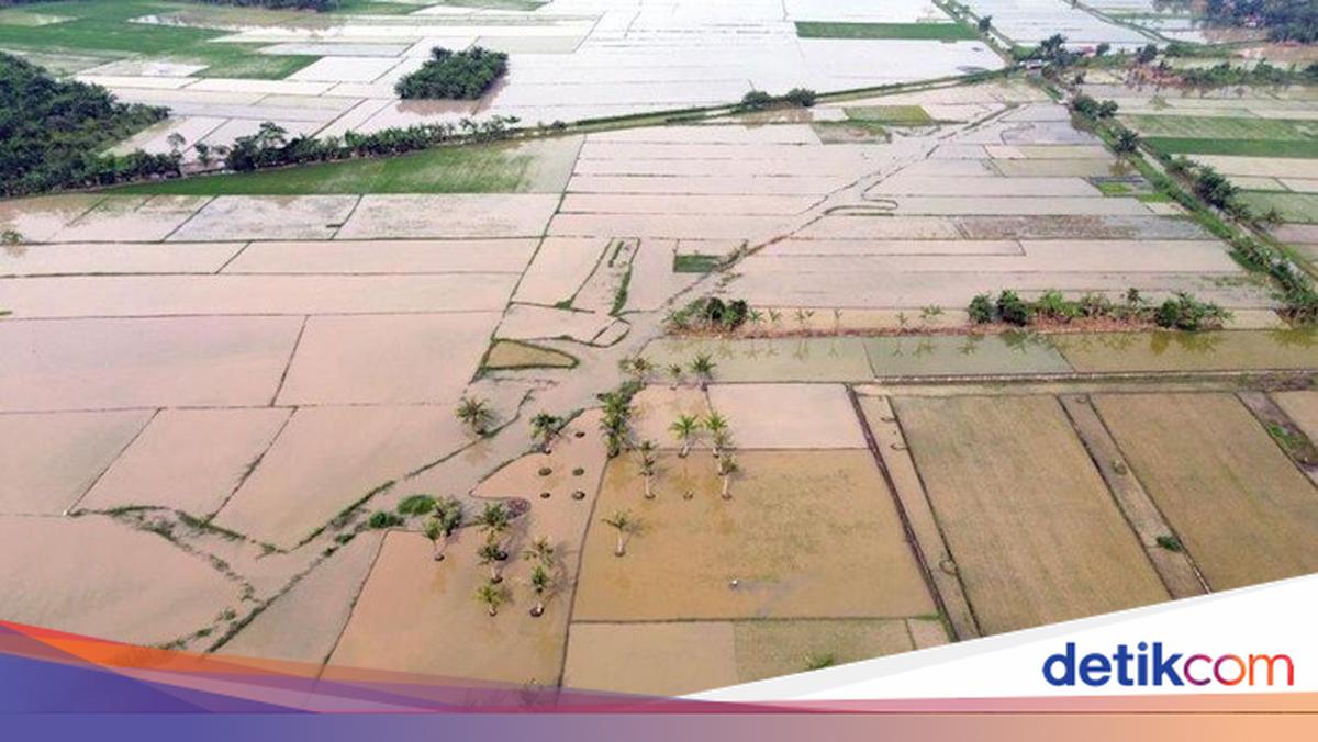 Ensuring Food Security, PRR Task Force Accelerates Paddy Field Rehabilitation in Sumatra