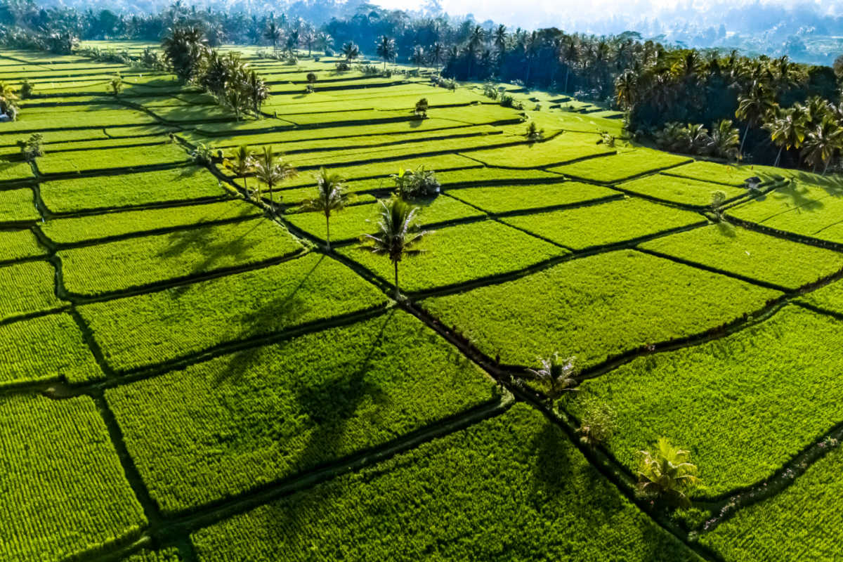 Immigration Increases Surveillance of Tourists in Popular Bali Cultural Hotspot