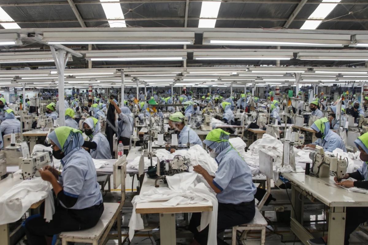 Economist: Labour-Intensive Incentives Should Not Hinder Technological Investment