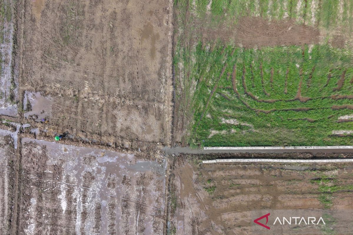Pharmacovigilance Oversight to Anticipating Drought Impacts