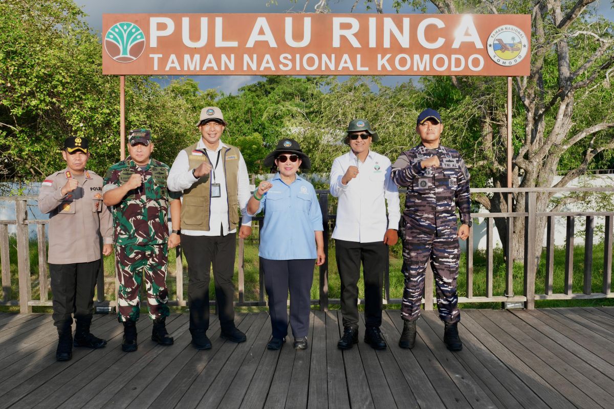 Ministry of Forestry Ensures Tourist Restrictions in Komodo National Park Are Reviewed Periodically
