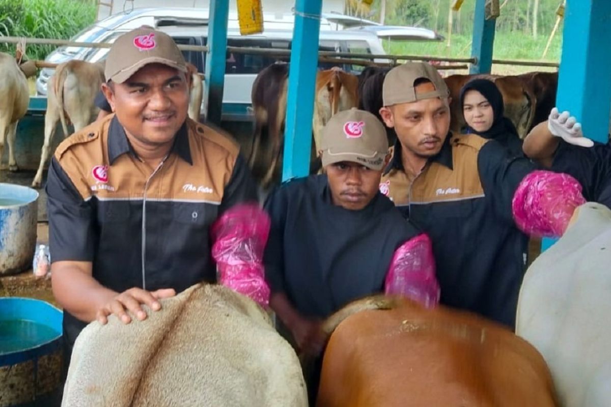 Senator Inseminator Movement Pushes for Artificial Insemination to Achieve Meat Self-Sufficiency