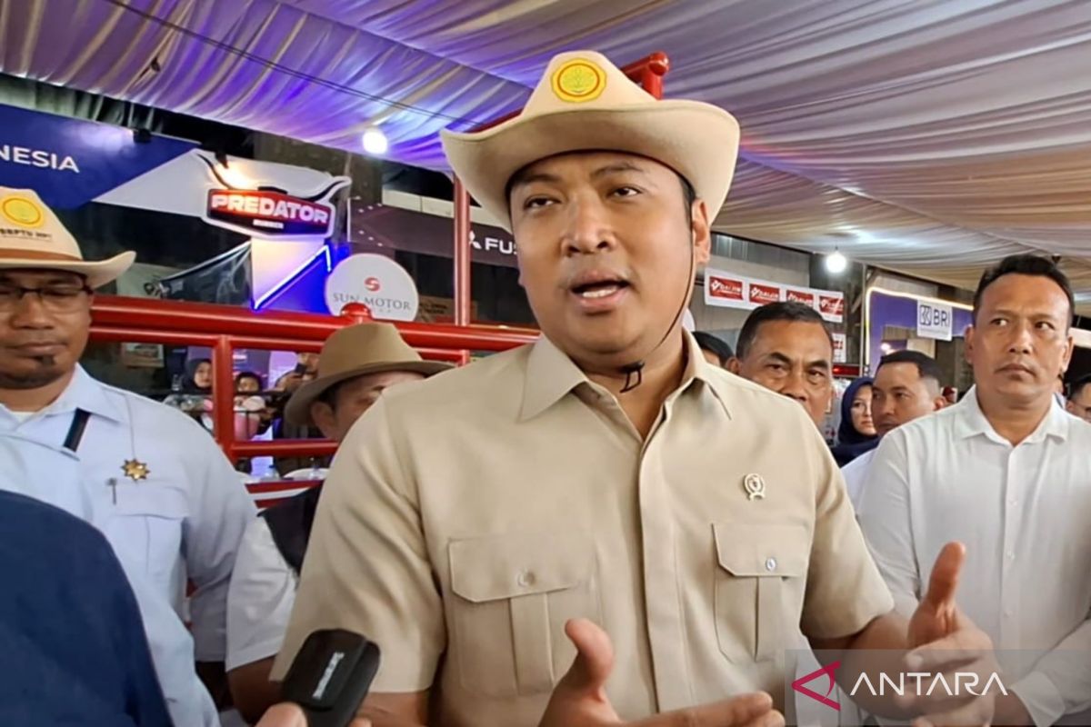Deputy Agriculture Minister: Beef Stock Secure for Eid al-Adha