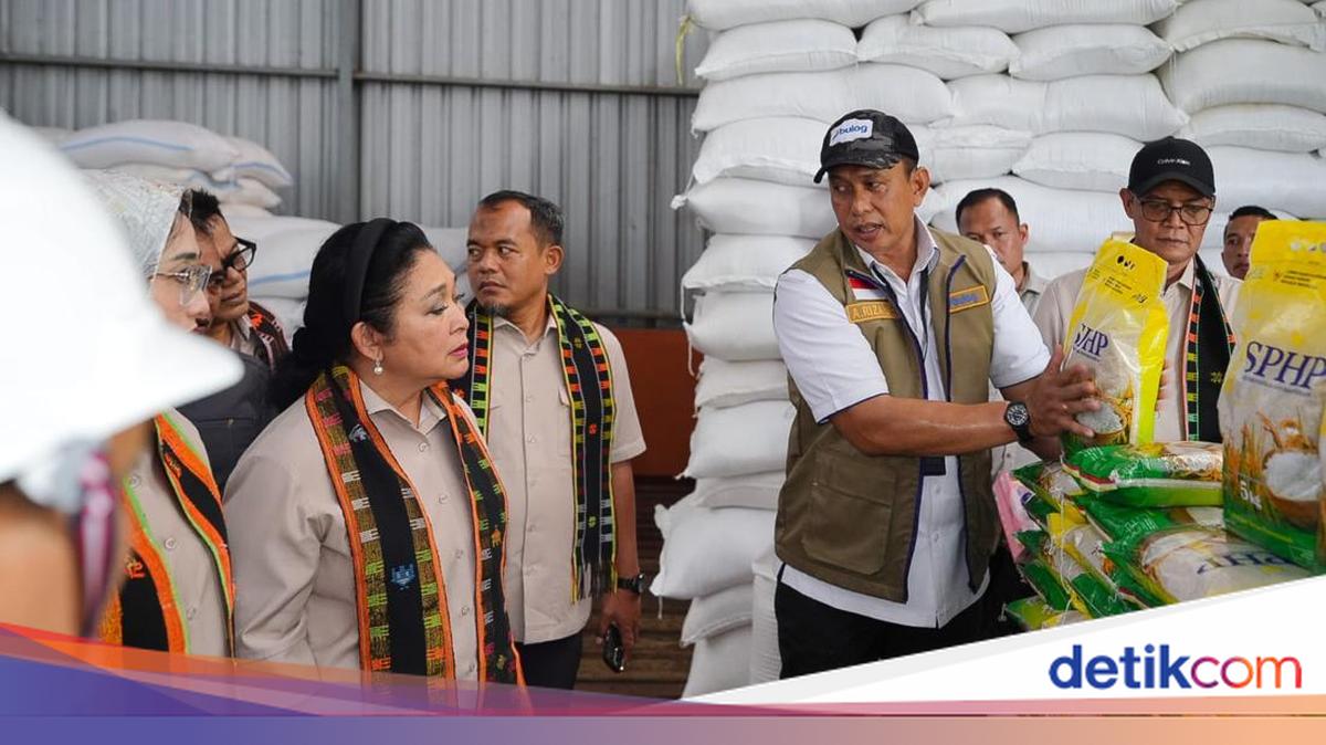 Bulog CEO States National Rice Stock Reaches 5 Million Tonnes