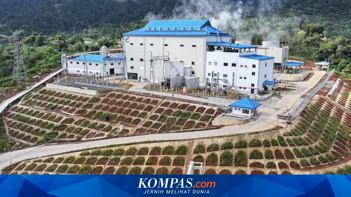 PGEO Distributes Dividend of Rp 49.44 per Share, Check the Payment Schedule