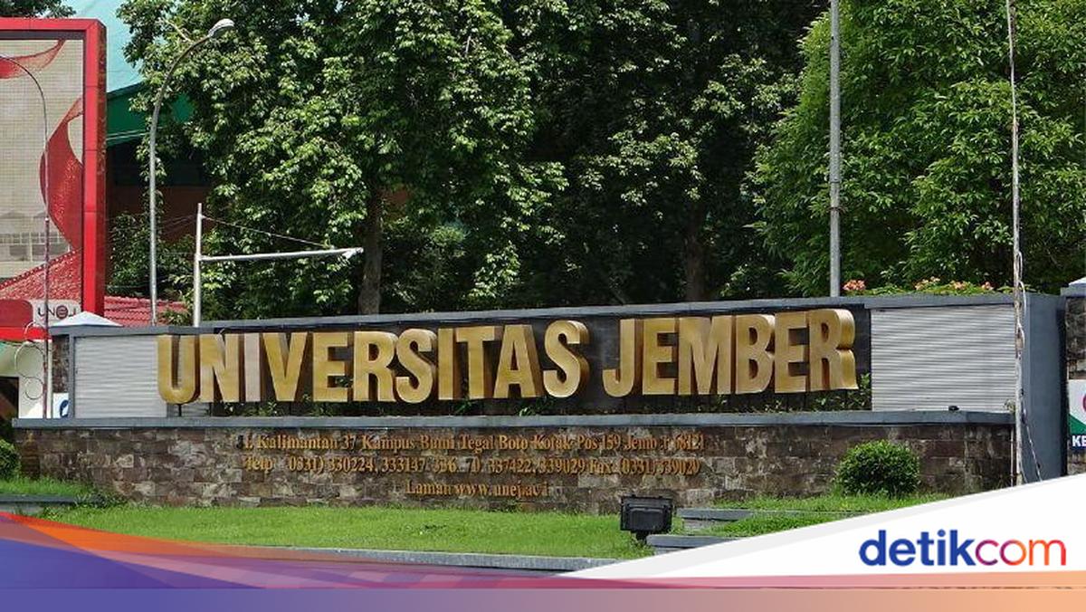 Viral Sexual Harassment Case at FH Unej, Perpetrator Faces Expulsion