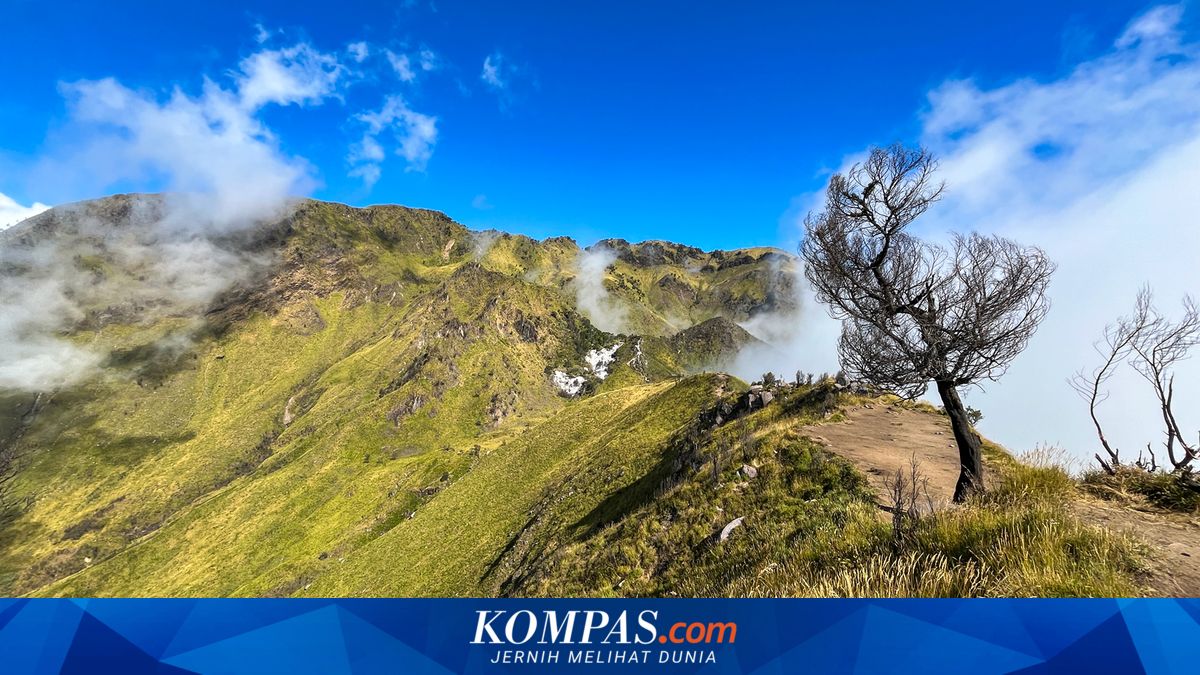 Mount Merbabu Ascent via Thekelan to Close from 29 May, What's the Reason?