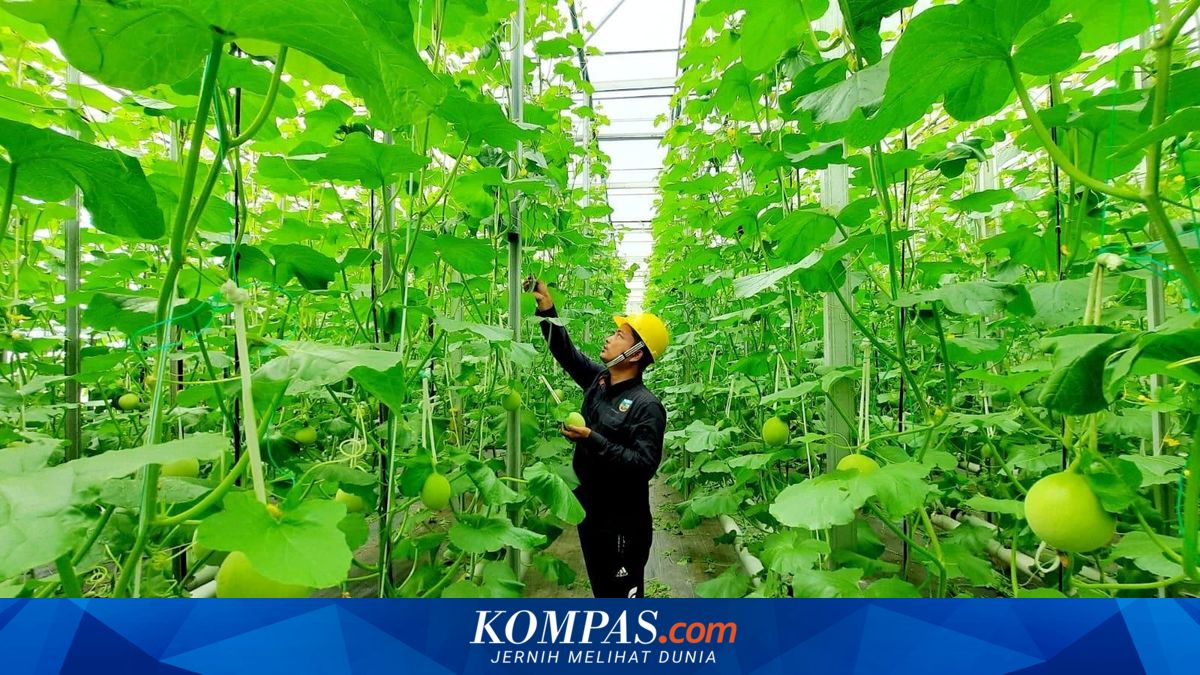 Geothermal Energy: More Than Just Electricity, Opening Economic Opportunities for Communities