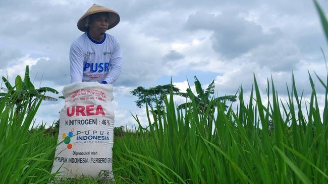 Pusri Supports Sustainable Environmental Management and Food Security