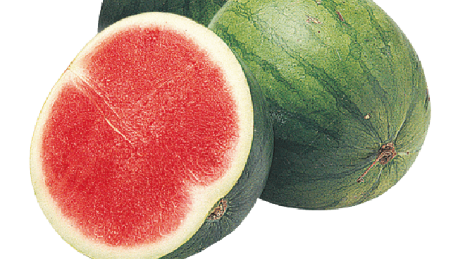 China Becomes the King of Watermelons Worldwide, Indonesia's Production is Insignificant
