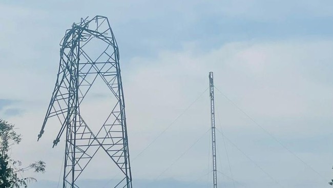 Reducing the State Budget Burden with Mandatory Disaster Insurance
