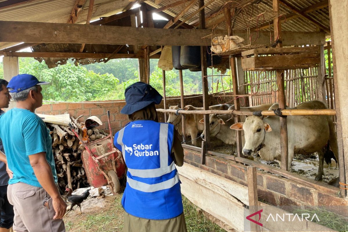 Human Initiative Launches "Flash Sale Qurban" Programme for 2026