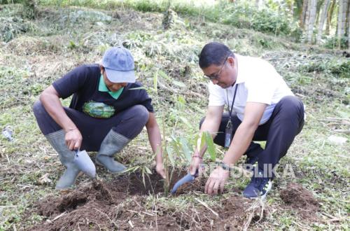 PLN IP Bali Greens the Forest and Builds Clean Water System in Tabanan