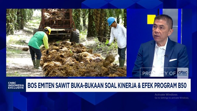 Video: Palm Oil Boss Opens Up on Performance and Impact of B50 Programme