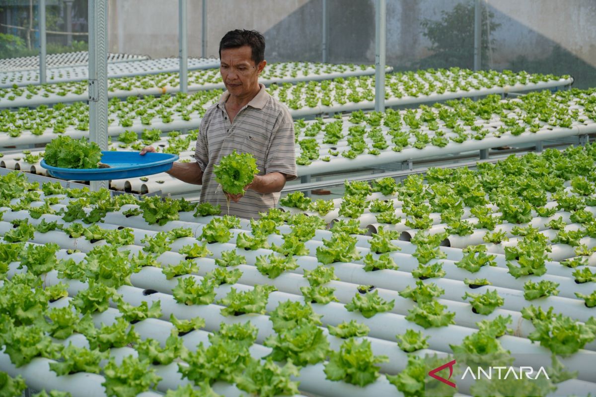 MP urges strengthening of mitigation measures against "Godzilla El Niño" threat