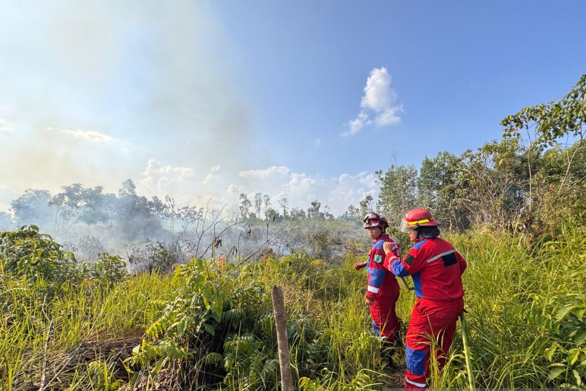 BNPB: Joint Teams Extinguish Forest and Land Fires in East and South Kalimantan