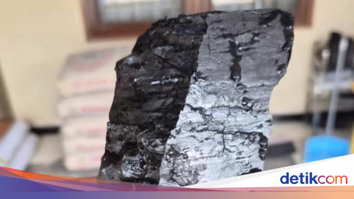 East Kalimantan Resident Discovers Coal While Digging Yard for Septic Tank