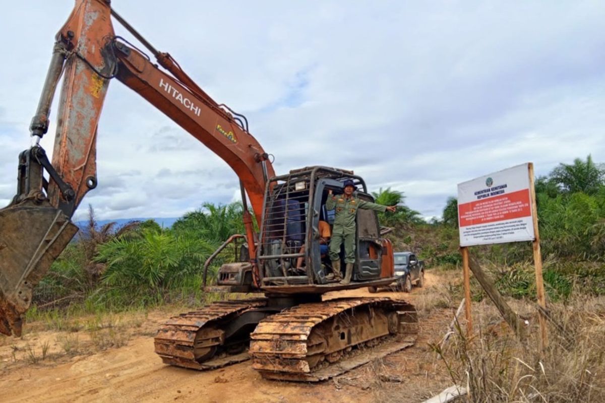 Forestry Ministry designates suspect in Bentang Alam Seblat forest encroachment case