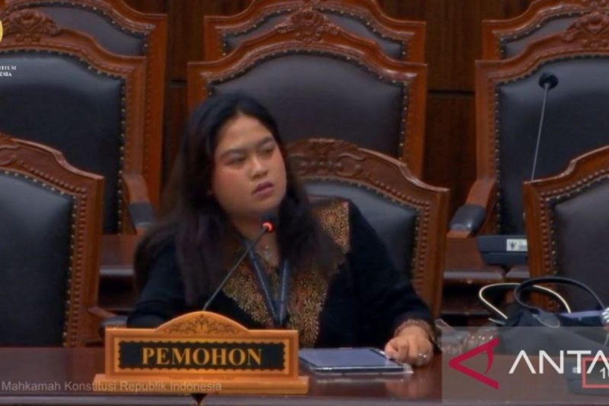 Expert Examination for 6 Challenges to New Criminal Code Postponed at Constitutional Court