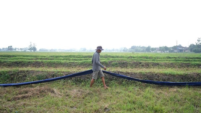 Pertagas OKA Brings a Series of Innovations for the Welfare of Farmers and SMEs