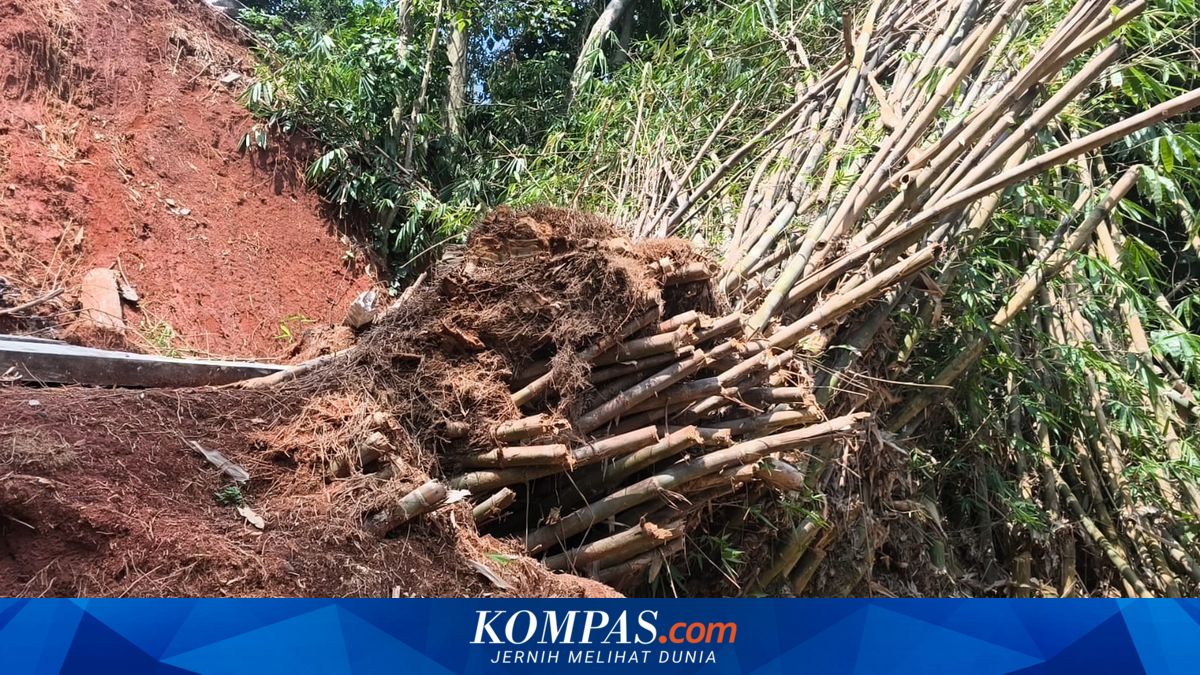 South Tangerang Landslide Suspected Triggered by Lack of Drainage