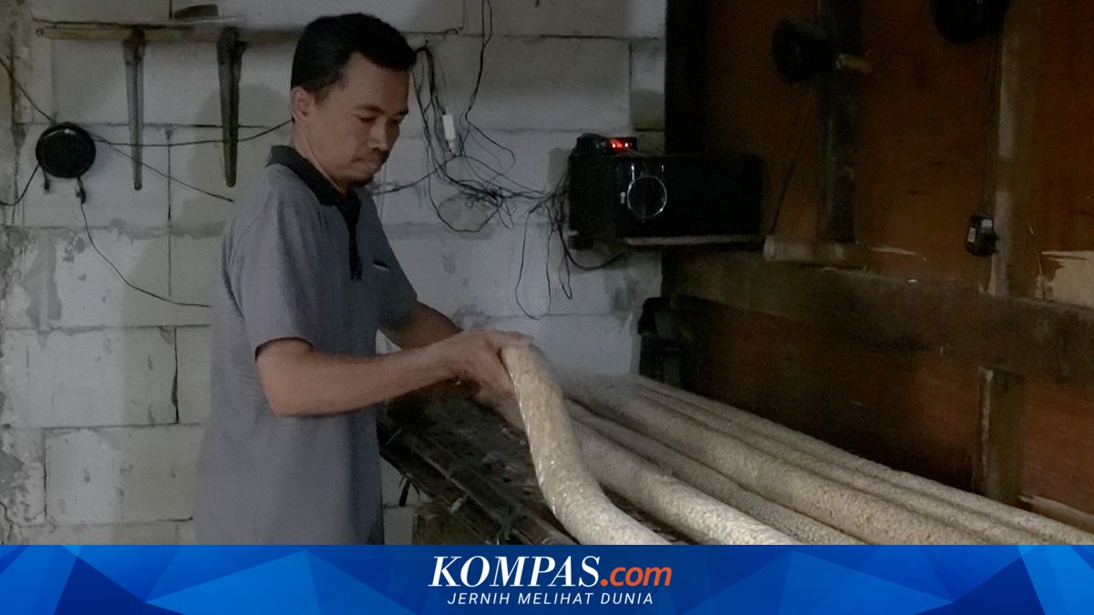 Tempe Remains Resilient Amid Soybean Import Dependence