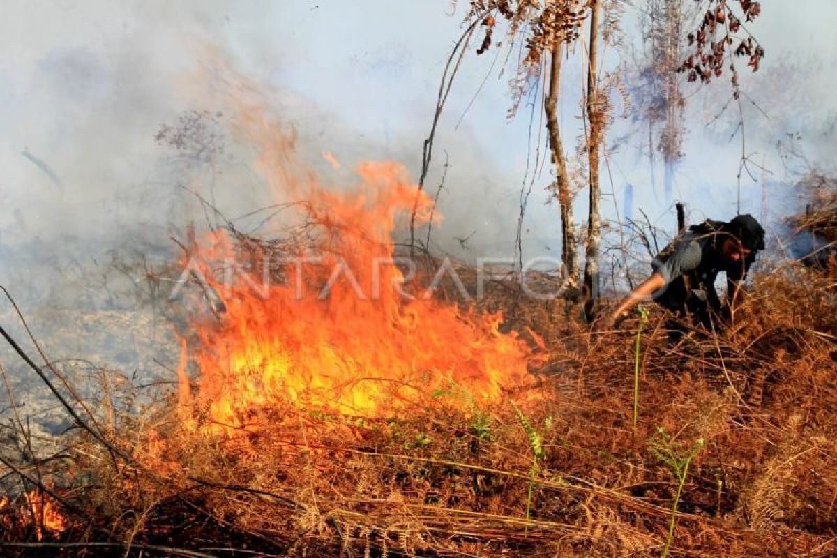 DPR Member Urges Heightened Vigilance Against Forest and Land Fire Threats