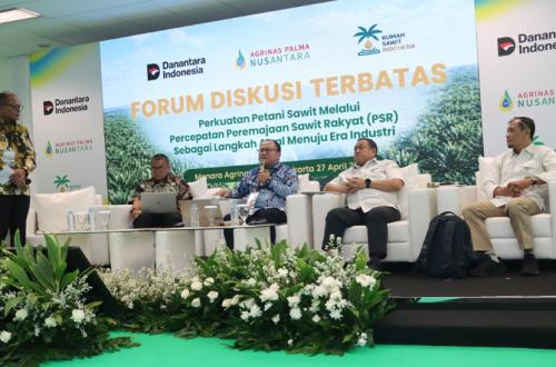 Palm Oil Farmers Must Begin Entering the Industrial Level