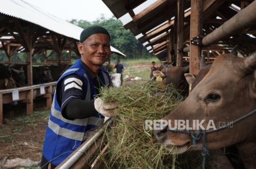 Kurban Distribution Still Uneven, This Programme Targets Eastern Indonesia to Africa