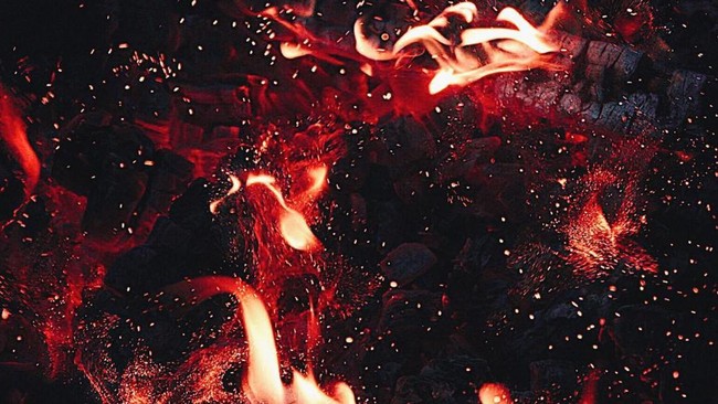 Coal Celebrates Five Consecutive Days, Price Breaks 3-Week High